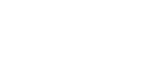 Portafolio de Negocios (PDN)