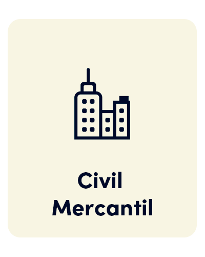 CIVIL MERCANTIL ICON