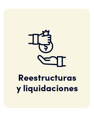 RESTRUCTURAS Y LIQUI